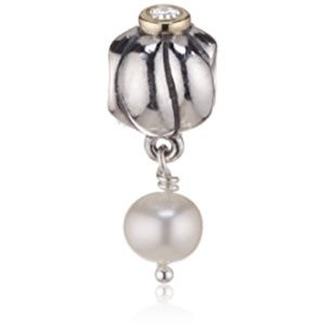 COPY - COPY - Pandora Blossom